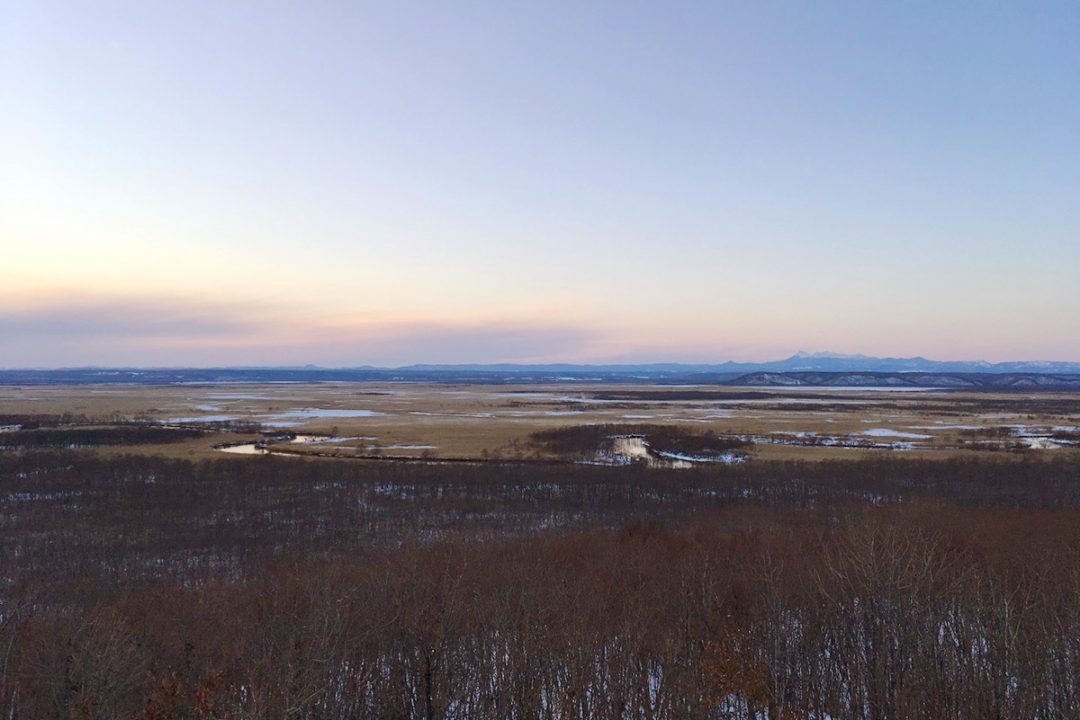 Kushiro Marsh