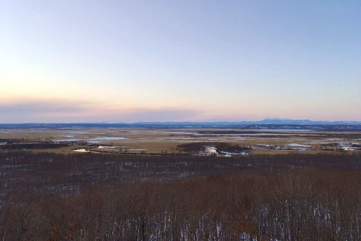 Kushiro Marsh