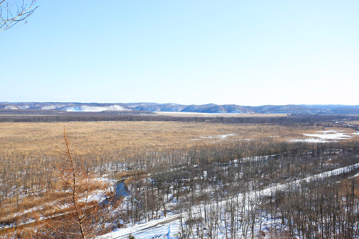 Kushiro Marsh