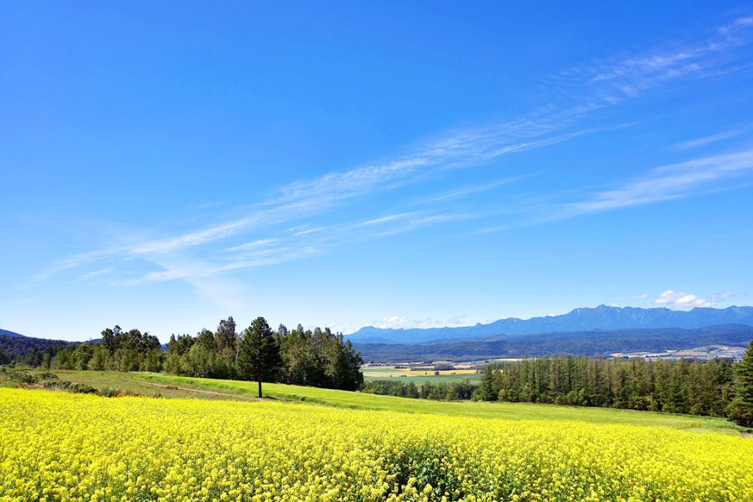 Furano Jam Garden