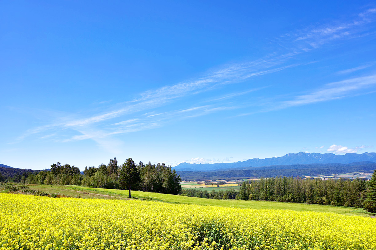 Furano Jam Garden | Japan RAIL & TRAVEL