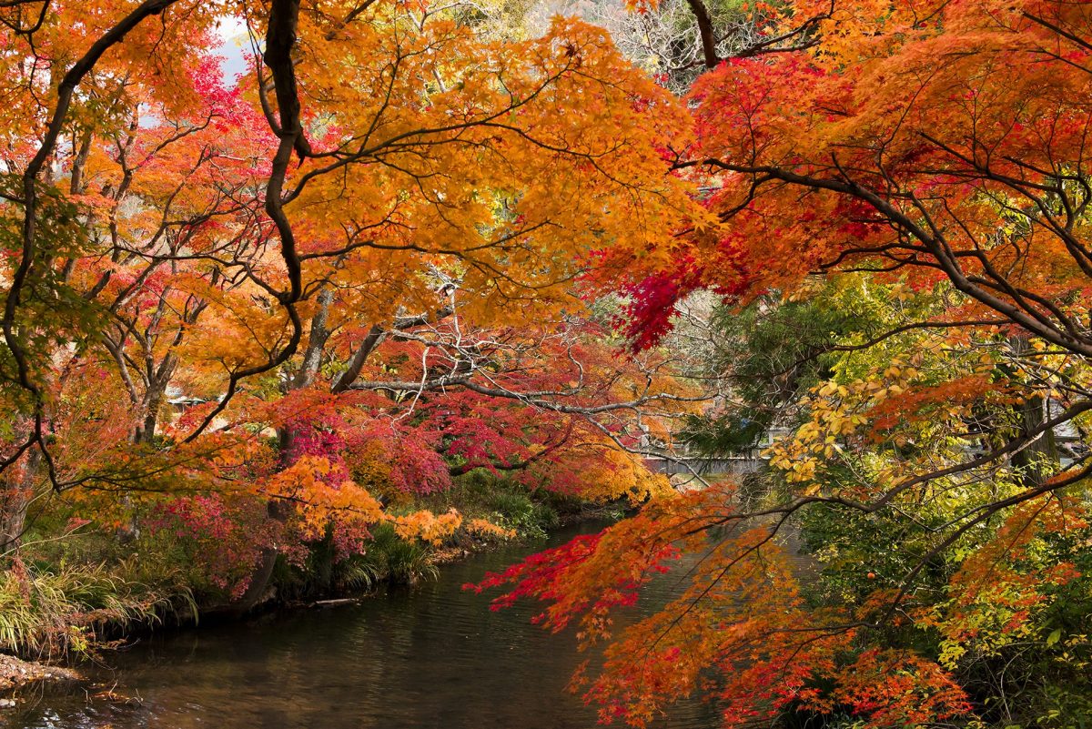 Lake Kinrin-ko | Japan RAIL & TRAVEL