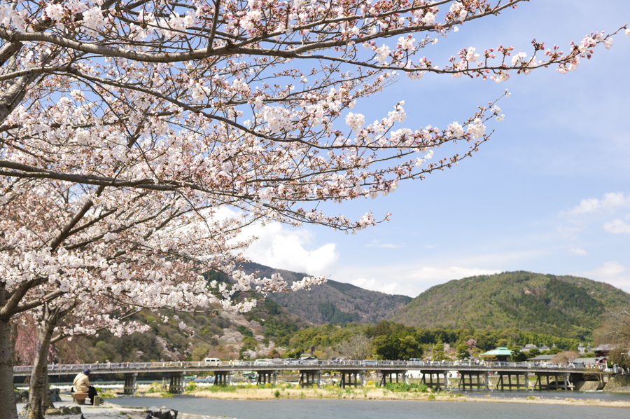 arashiyama