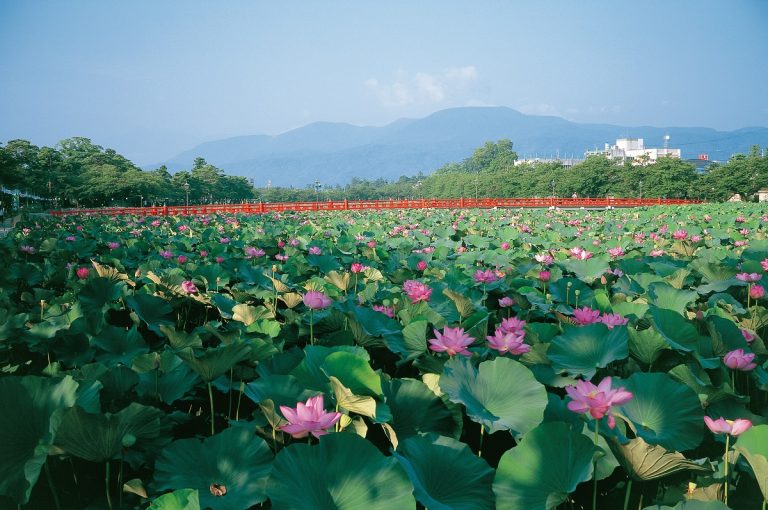 Takada Park