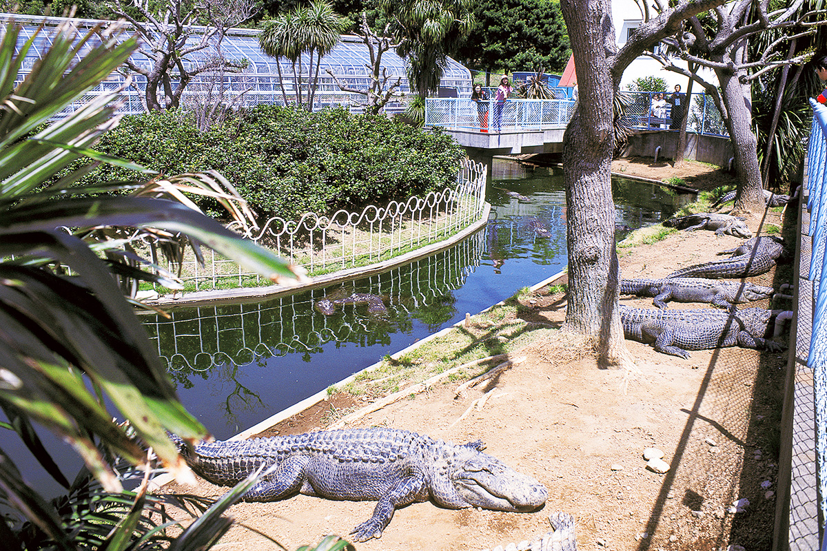 Atagawa Tropical & Alligator Garden