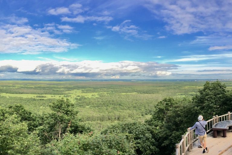 Kushiro Marsh