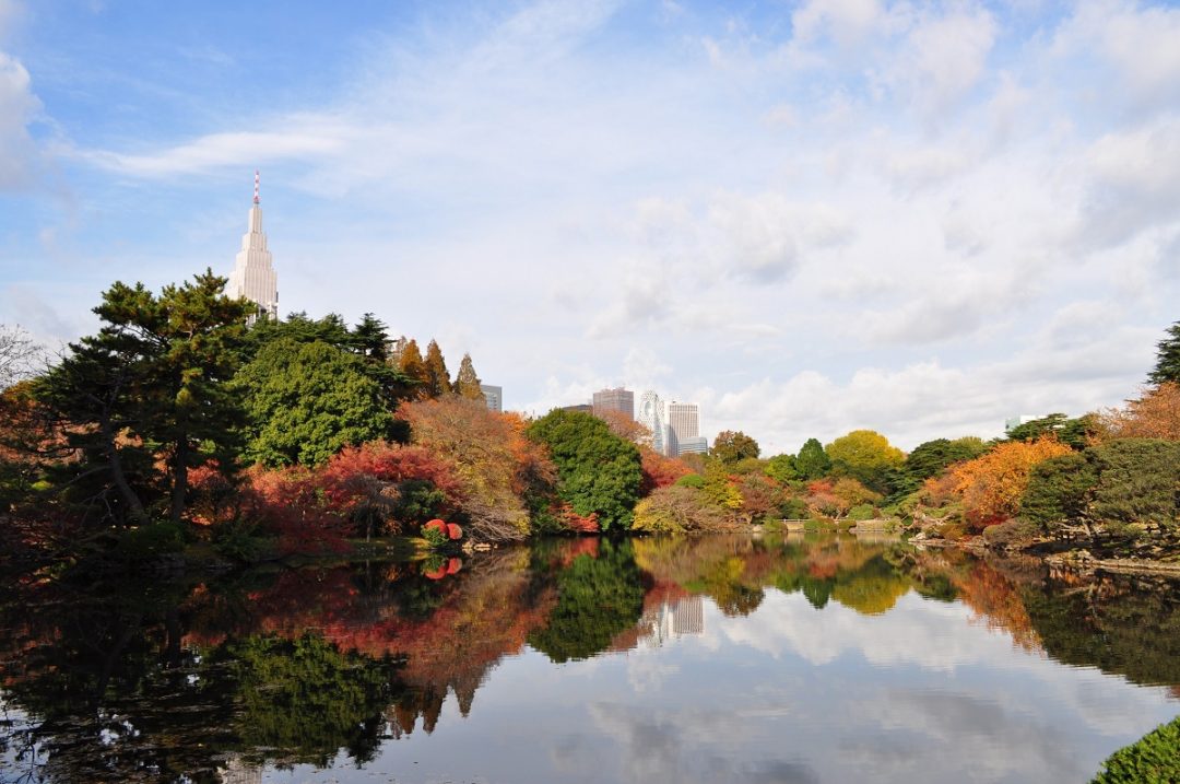 Shinjuku Gyoen