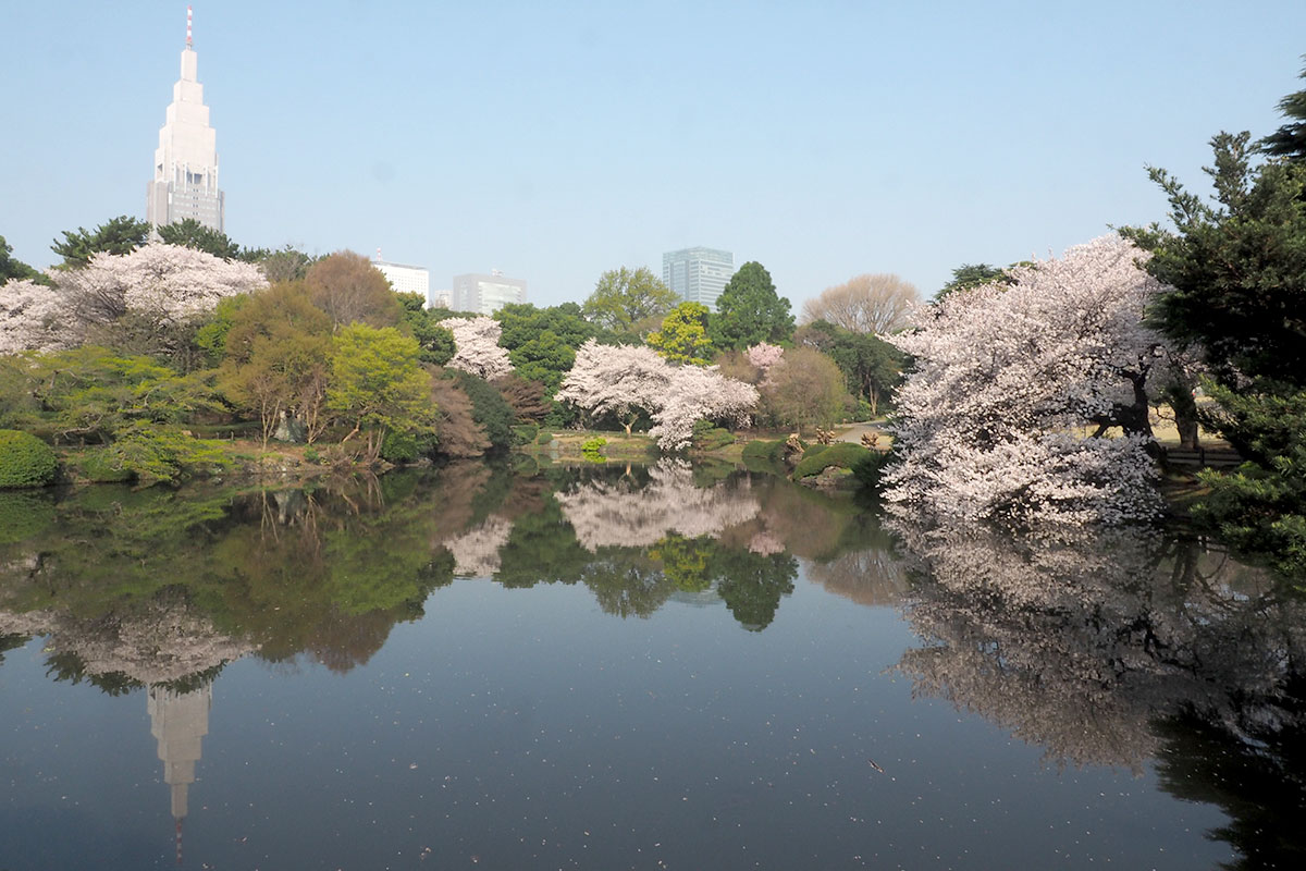 Shinjuku Gyoen