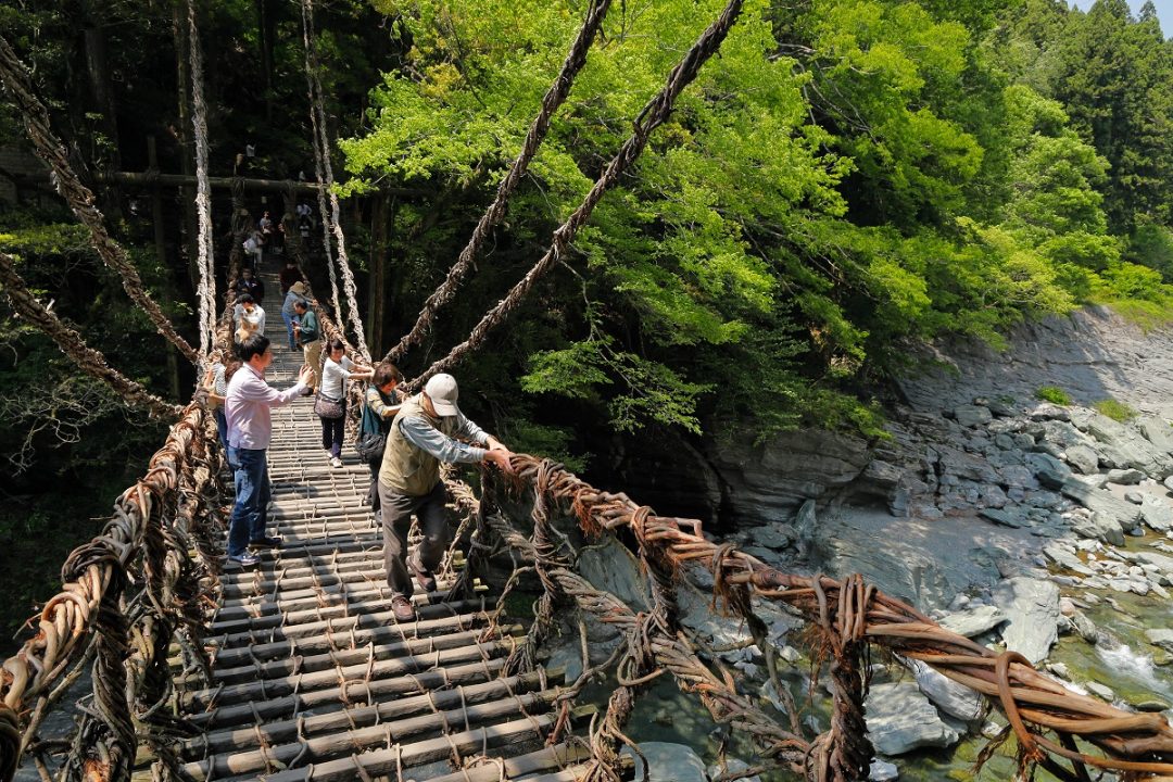 Kazura Bashi Bridge in Iya