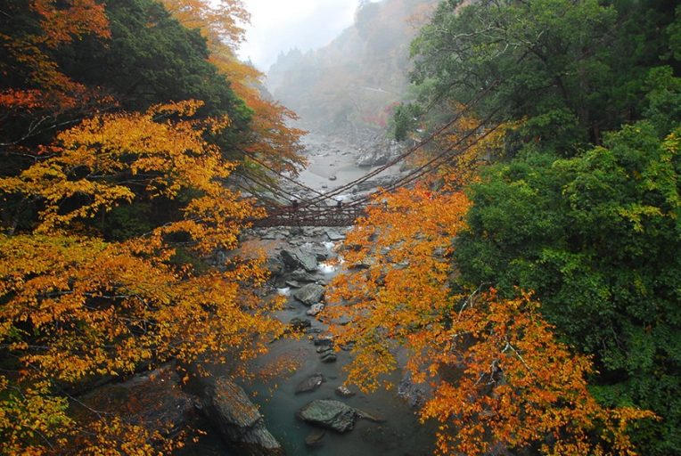 Kazura Bashi Bridge in Iya