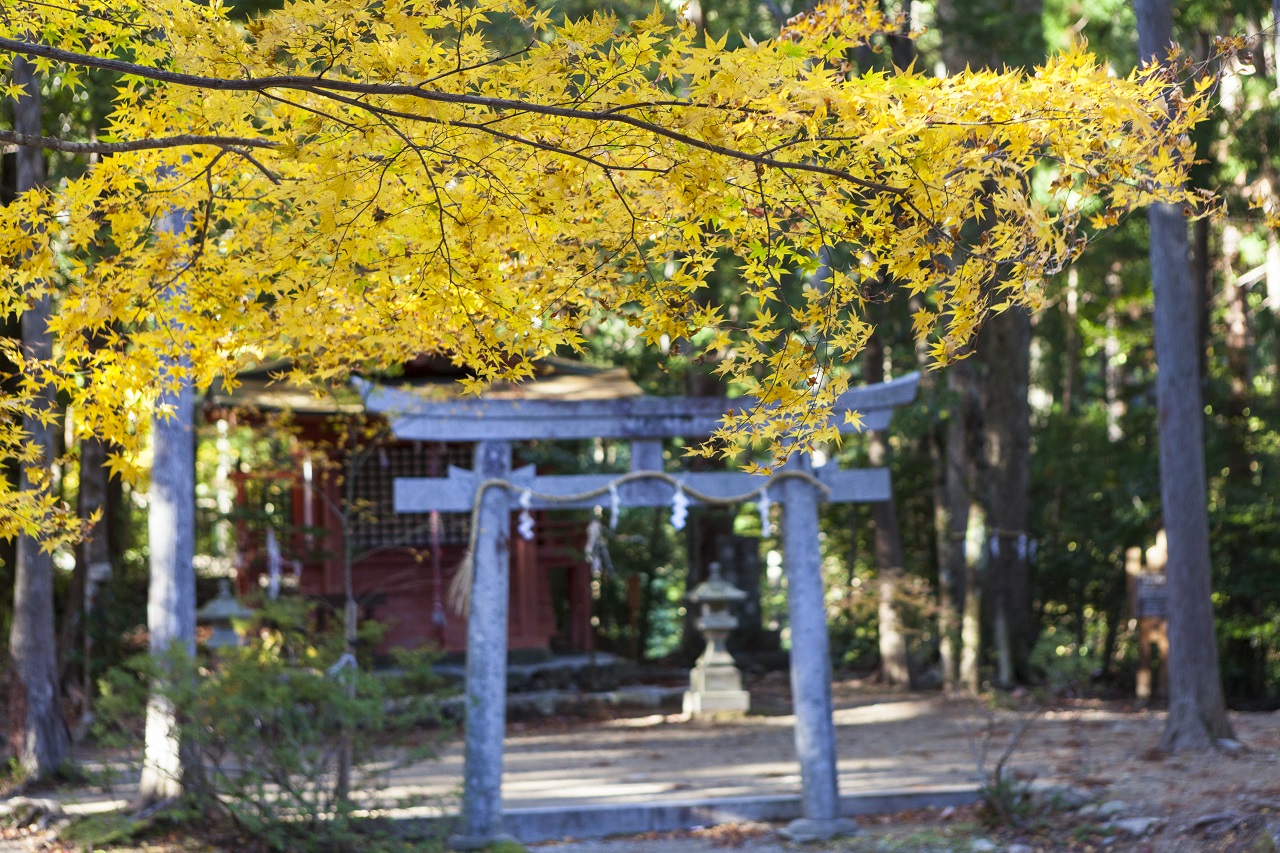 Kumano Kodo