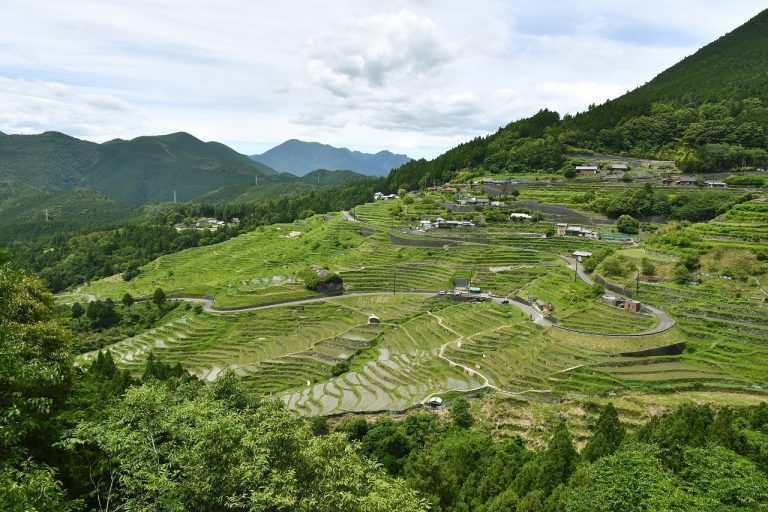 Maruyama Senmaida Terraced Rice Fields