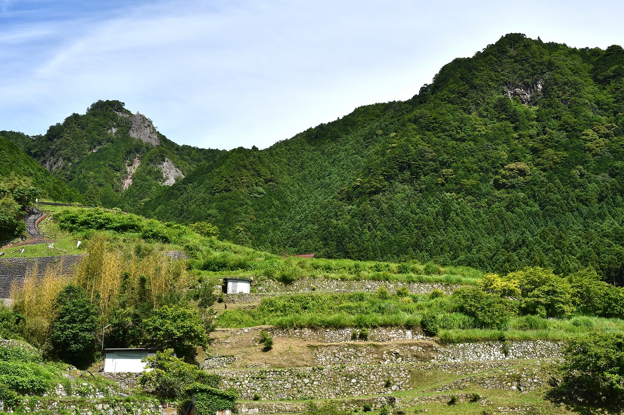 Maruyama Senmaida Terraced Rice Fields