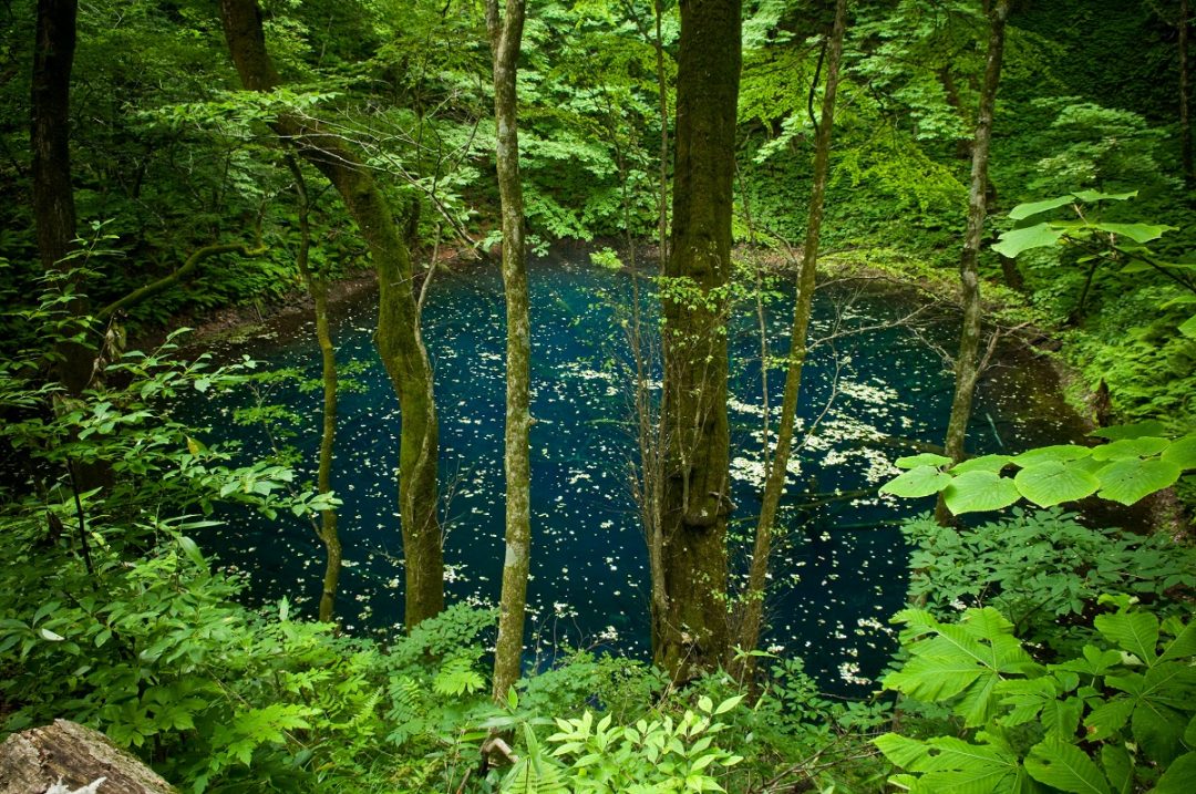 Lake Juniko (Twelve Lakes)