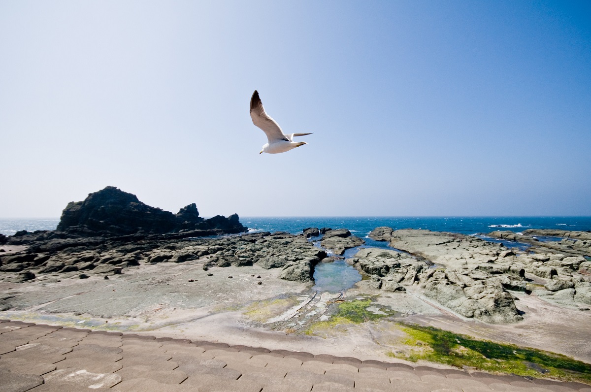 Senjojiki Coast