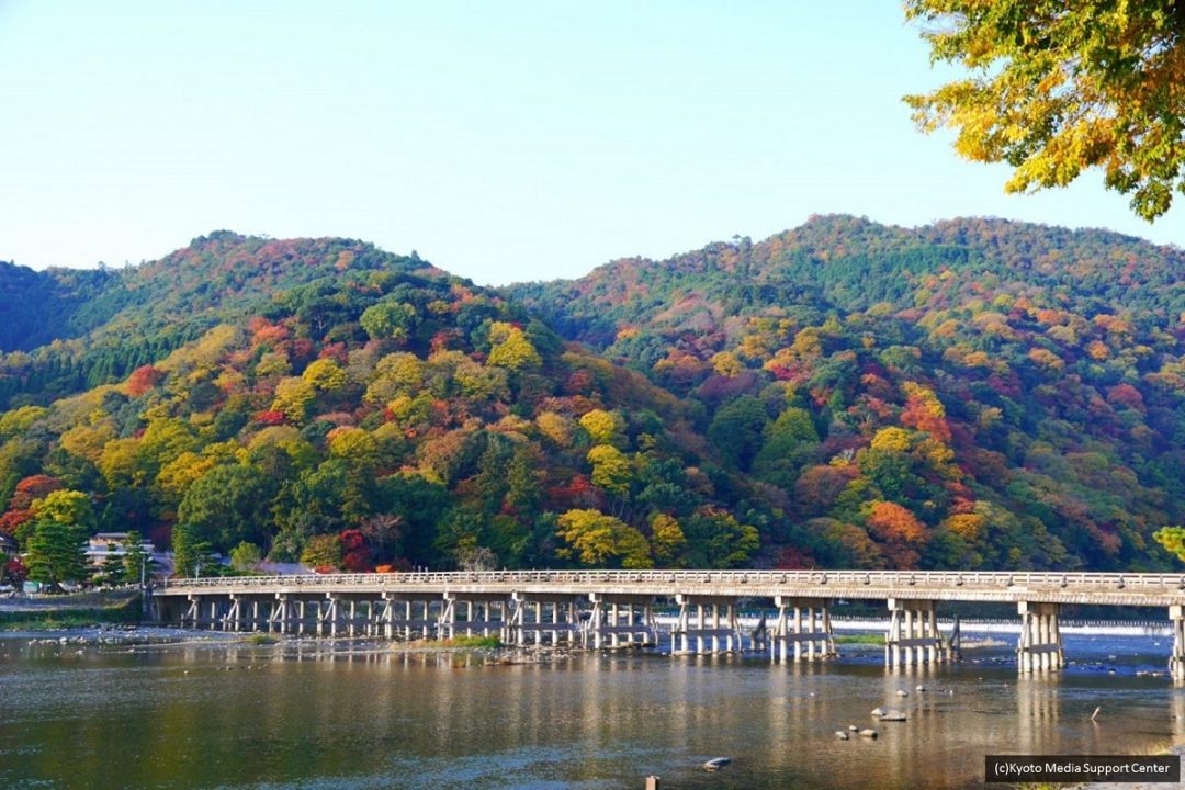 arashiyama