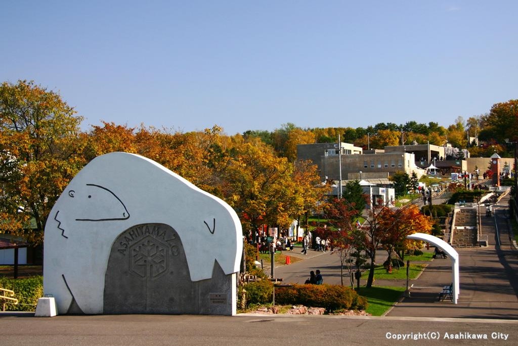 Asahiyama Zoo