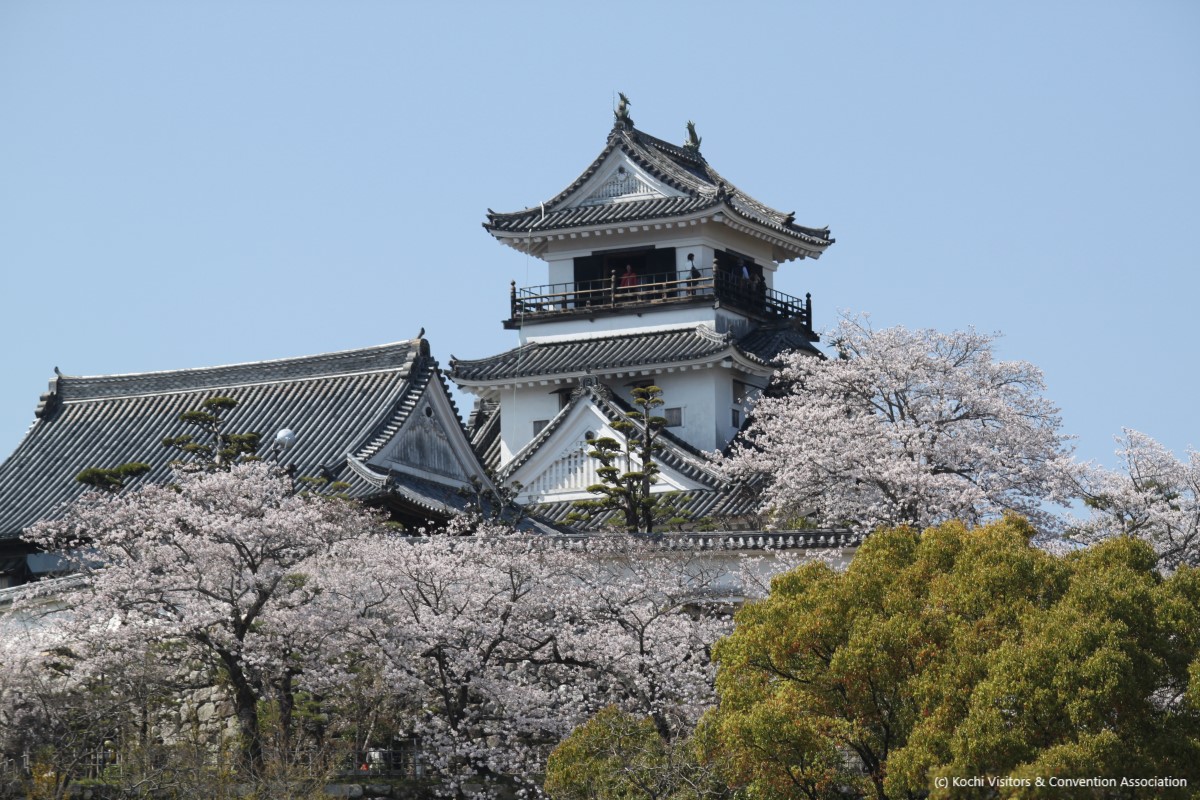 Kochi Castle