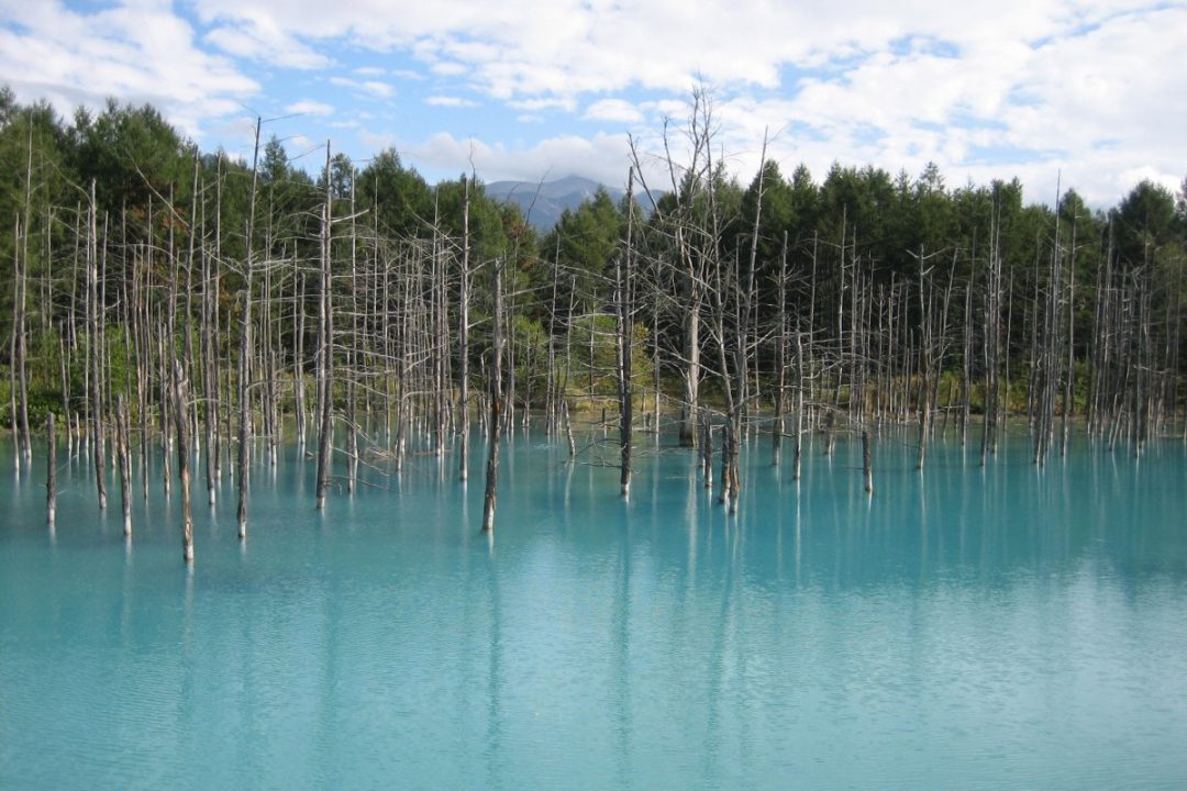 Shirogane Blue Pond