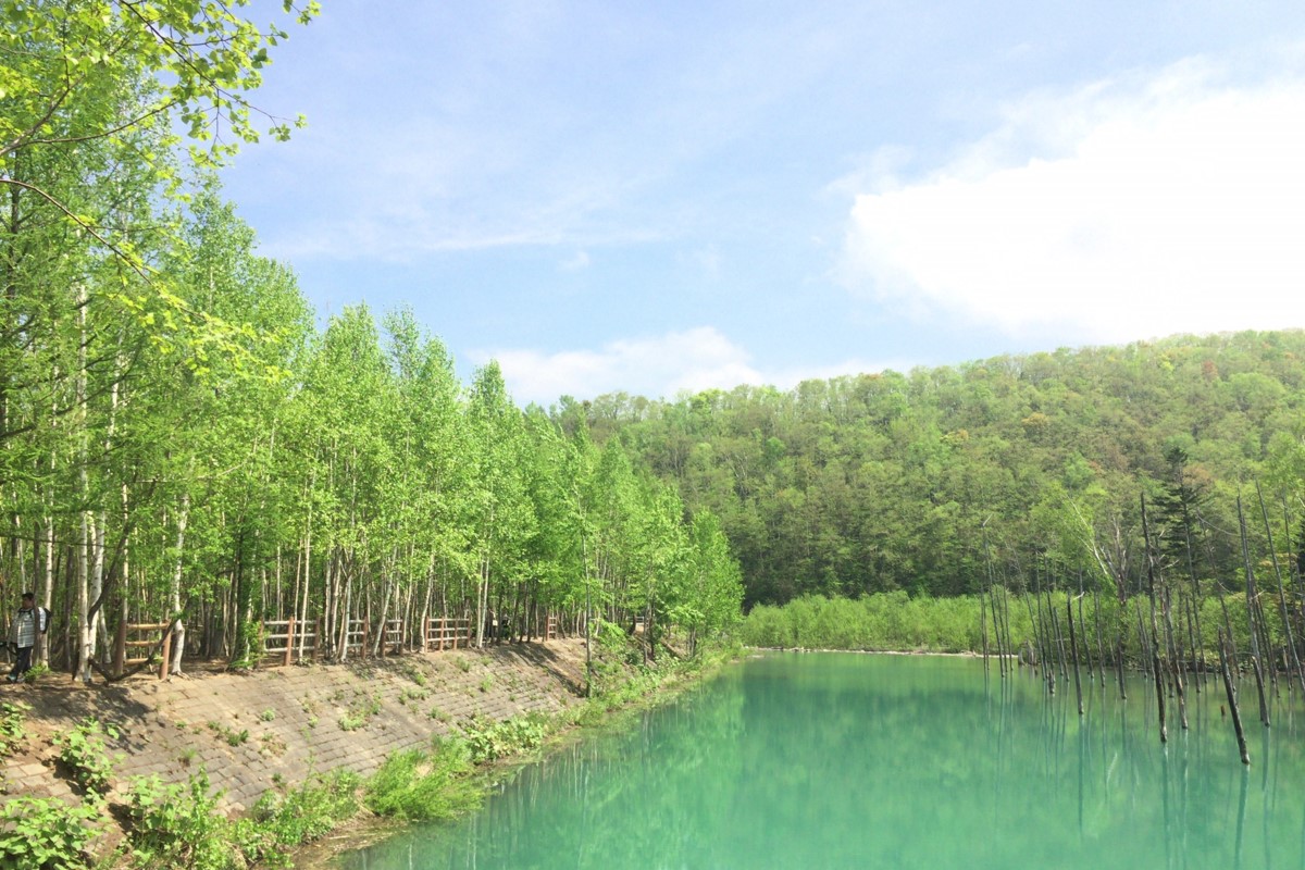 Shirogane Blue Pond