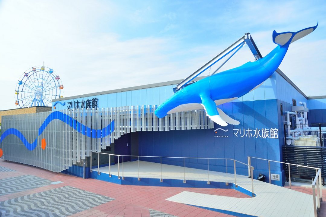 Mariho Aquarium