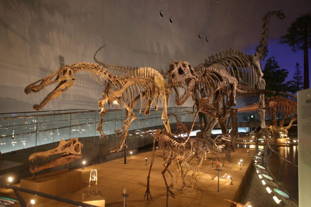 Fukui Prefectural Dinosaur Musuem